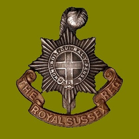 The Royal Sussex Regiment WW1 (@rylsxregt) 's Twitter Profile