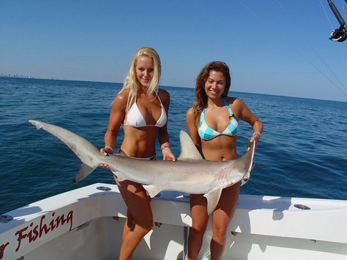 Find Over 3000+ Florida Vacation Rentals by Owner and Manager on http://t.co/kjHORto3Qx including special offers and seasonal discounts