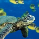 Greg Gavin - @Greg_Gavin - Twitter