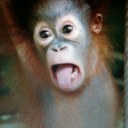 James Scullion - @speckyjim - Twitter