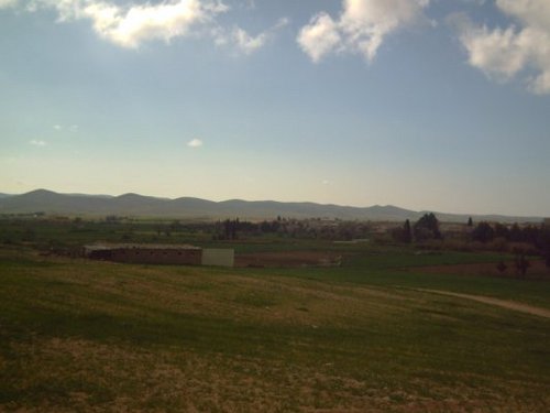 adrarian's profile picture. contact me