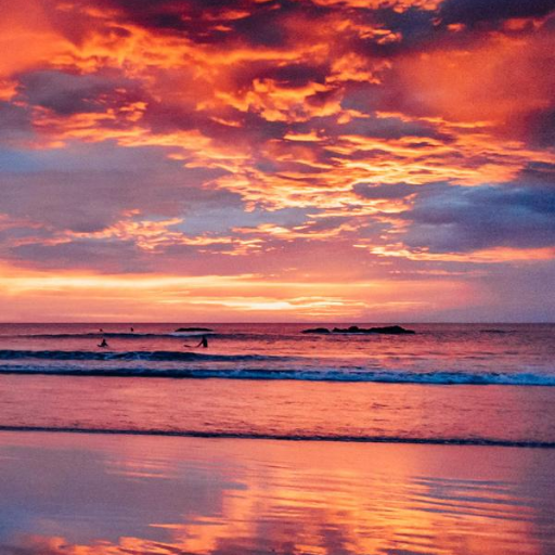 Elle8164's profile picture. 