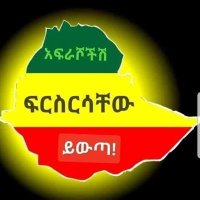 Girma (@girma38094426) 's Twitter Profile