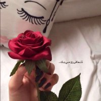 تنهيدات (@zbau8pvn4rbuyu4) Twitter profile photo