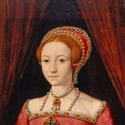 Historical novels of the Tudor era. Think Dumas, Walter Scott, secret passages, court intrigue and the odd sword fight. https://t.co/hIPnrsrR37