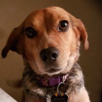 Sunshine (@lil_sunshine202) 's Twitter Profile