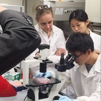 Halene Lab (@halene_lab) 's Twitter Profile