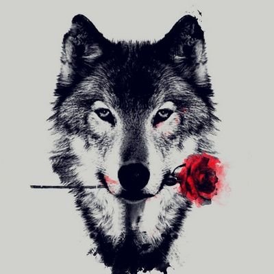 sharique5's profile picture. Dreamer