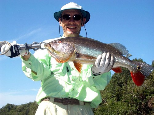 VernePowell's profile picture. President, Great Lakes International Trading, Inc.  I enjoy flyfishing, sailing, bicycling, pickleball, red wine, reading.