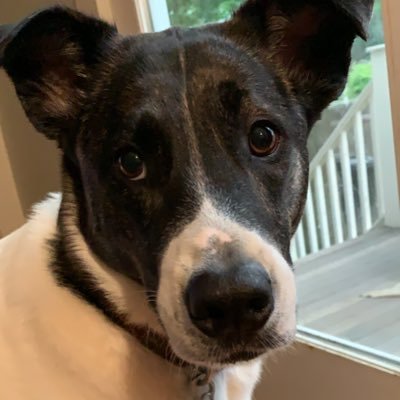 GinaMilligan4's profile picture. My honesty