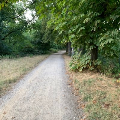 DelPaper's profile picture. 