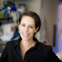 Goldrath Lab (@goldrathlab) 's Twitter Profile