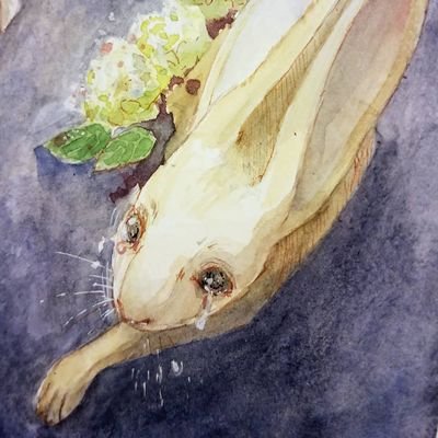 museofeggsさんのプロフィール画像
