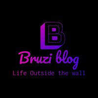 mohamed fahim (@bruziblog) 's Twitter Profile