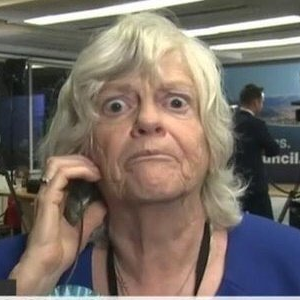 My name is Ann Noreen Widdecombe. Proudly anti-Europe, anti-women priests, non-believer in climate change. UK should be free again, Scotland shouldn't. PARODY