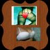 Flormartinez (@flormar97379831) Twitter profile photo Flormartinez (@flormar97379831) Twitter profile photo