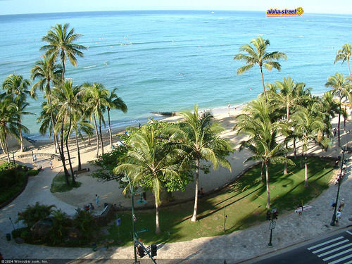 umi_tomo's profile picture. 自然が大好き、５４歳からサーフィンを始めて（休止中）今75歳 ・・・ハワイが大好き〜.又マウイ、沖縄へ行きたい♪♪　保護猫出身の猫と同居🐱