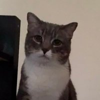 Helen (@helen_manon_) 's Twitter Profile