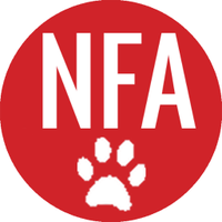 Network For Animals 🐾 (@network4animals) 's Twitter Profile Photo Network For Animals 🐾 (@network4animals) 's Twitter Profile Photo