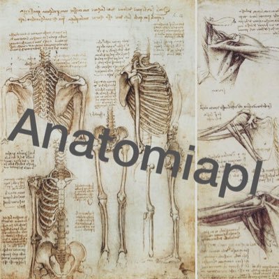 Everything about: #anatomy #anatomia #physio #fizjoterapia #med #human #body #anatomiapl #poland 🇵🇱 ~ Polska strona poświęcona anatomii ~ 🇵🇱