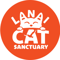 Lanai Cat Sanctuary(@LanaiCats) 's Twitter Profile Photo