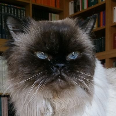 lane0704's profile picture. Husband, Jesus Lover.
Obsessive book worm.