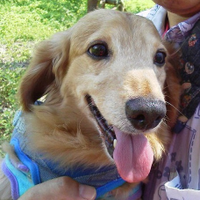 ｔａｒａｐｙ (@tadak5) 's Twitter Profile