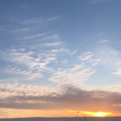 sstimeless's profile picture. 一度きりの命を全力で使い込む所存でございます。