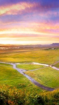 ro_foot's profile picture. サンフレッチェ広島
病に勝てそうにない。
助けてはくれない。