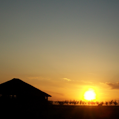 vezilka's profile picture. Dreaming in digital