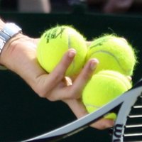 Marianne Bevis (@mariannebevis) Twitter profile photo