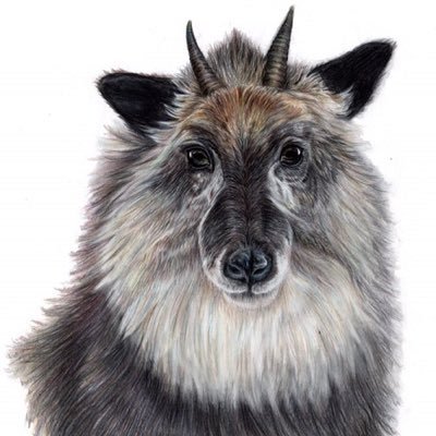 Nanaさんのプロフィール画像