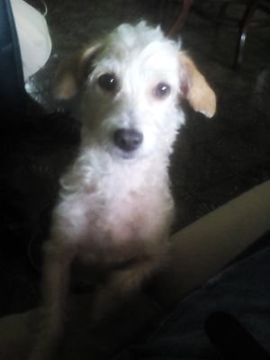 JoseCon62633540's profile picture. The palidraider