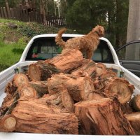 kieran murphy (@krjmurphy) 's Twitter Profile Photo