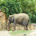 HIROZO📷🐘 (@hiro19390) Twitter profile photo HIROZO📷🐘 (@hiro19390) Twitter profile photo