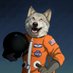 Dakota The Astrowolf (@DakotaAstroWolf) Twitter profile photo