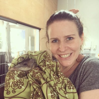 PhD candidate at UQ and the Hidden Vale Wildlife Centre investigating pathogen exposure in bandicoots.