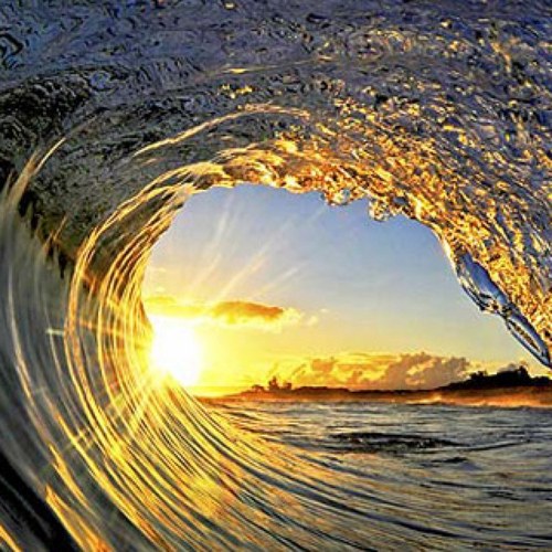 KRogersL's profile picture. 