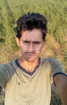 bandianilreddy1's profile picture. 