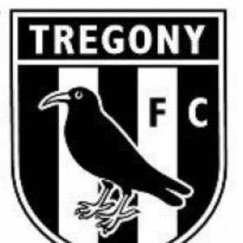 ⚽️ We are a FA Charter Standard family friendly football team playing in the Trelawny League Division 2 for the 2019/20 Season. League 4 runner up in 2018/19 ⚽️