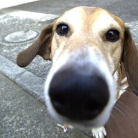 Boo25 (@boo25kg) 's Twitter Profile Photo Boo25 (@boo25kg) 's Twitter Profile Photo