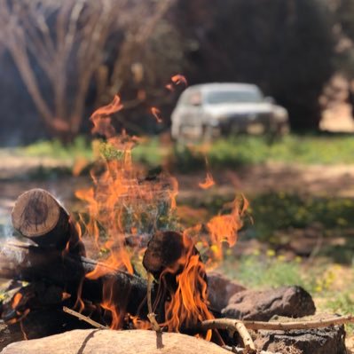 AmerTurki's profile picture. 