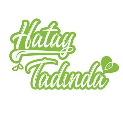 hataytadinda.com