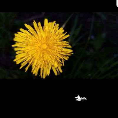 amanzira's profile picture. 