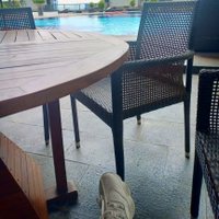 Fifi (@9176fifi) 's Twitter Profile