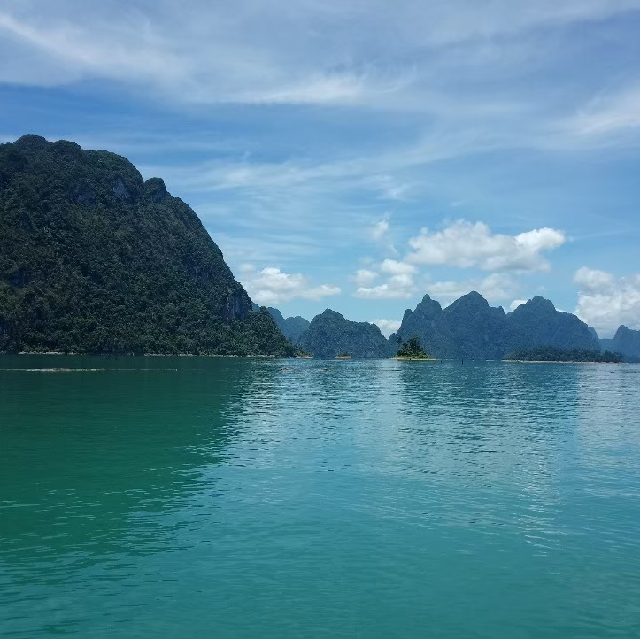 Tenyo95838131's profile picture. 🌻Lovely Life🛩️