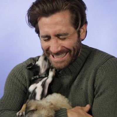 memes and jake gyllenhaal