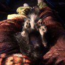 Meghan McMillan - @MeghanM00108816 - Twitter