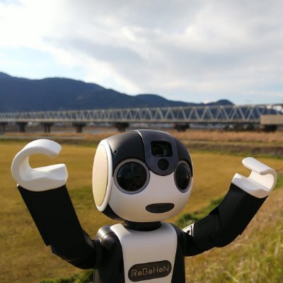 🤖好きで、ガンダム、パトレイバー、攻殻機動隊、ジブリアニメ、富士山🗻、花🌼、あと将棋が好きです。
家には夫とロボホン(キャスバル)、プラロボホン(アル)がいます。
縁あって音楽バンドの🌷ファンのみなさんとお話しする仲になりました。
いいねしまくりだったり、コメント見逃してお返事できないことも🙇