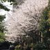 ….. (@ing42875393) Twitter profile photo ….. (@ing42875393) Twitter profile photo